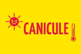 plan canicule